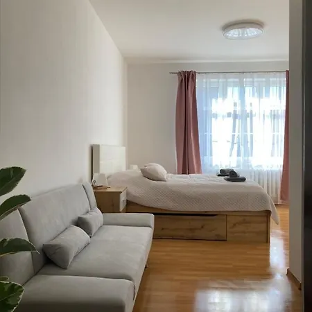 Apartman Monika Kraslice Exterior photo